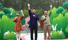 大舅哥最新爆料新闻视频,揭秘事件背后惊人真相